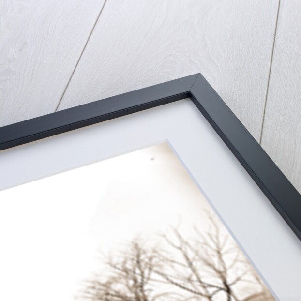 General view of battlefield, Vicksburg by Anonymous