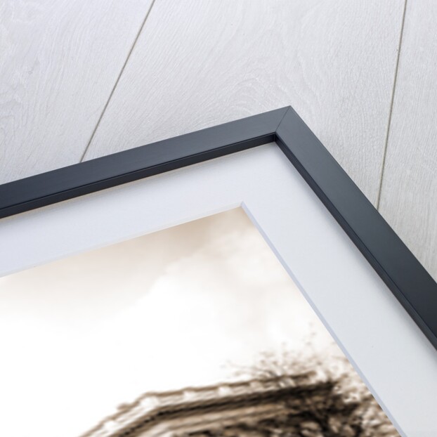 U.S. Custom House, Charleston by Anonymous