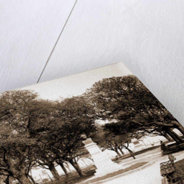 White Point Garden, Charleston by Anonymous