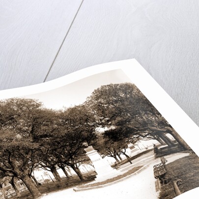 White Point Garden, Charleston by Anonymous