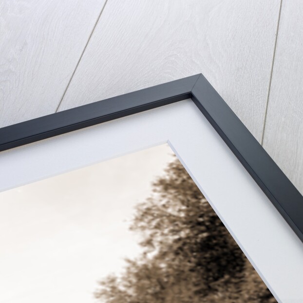 Jasper Monument, White Point Garden by Anonymous