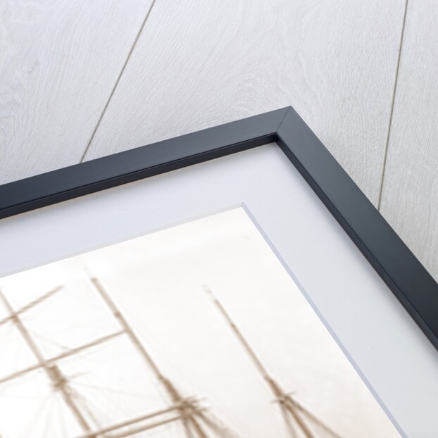 Lumber wharfs, St. John's River by Anonymous