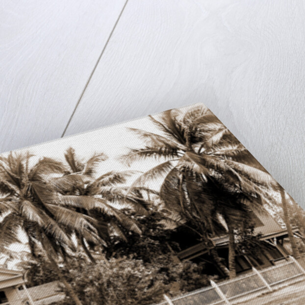 Residence in palm grove, Key West by Anonymous