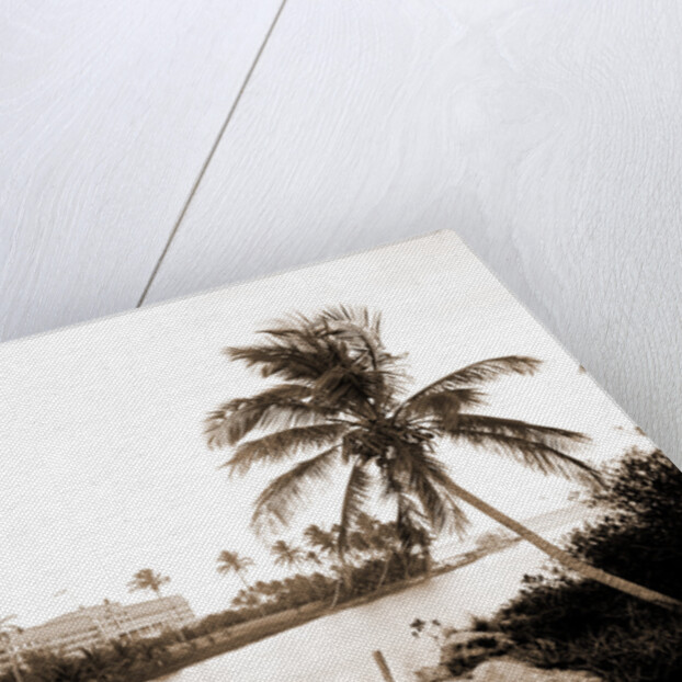 Royal Palm Hotel from Miami River, Hotels by Anonymous