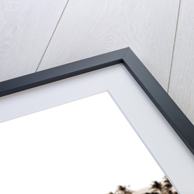 Hotel Royal Palm by Anonymous