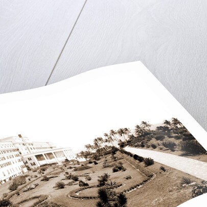 Hotel Royal Palm by Anonymous