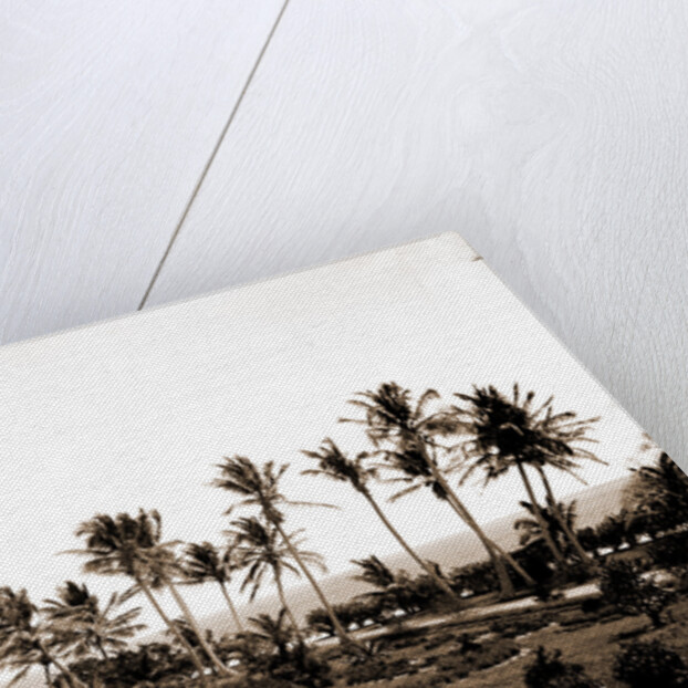 Porch of the Hotel Royal Palm by Anonymous