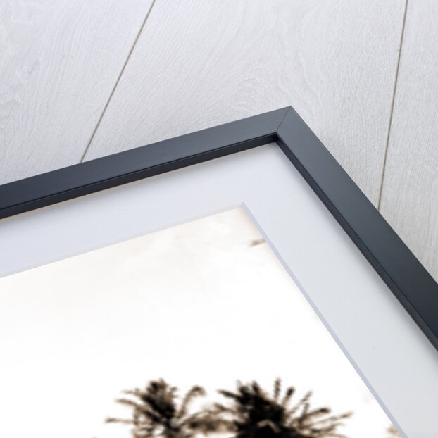 Porch of the Hotel Royal Palm by Anonymous