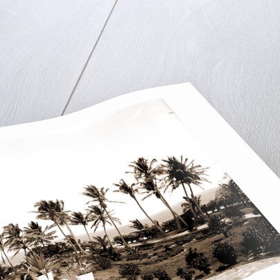 Porch of the Hotel Royal Palm by Anonymous