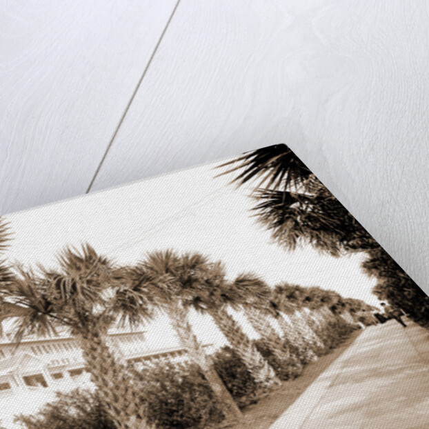 The Breakers, Palm Beach by Anonymous