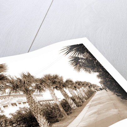 The Breakers, Palm Beach by Anonymous