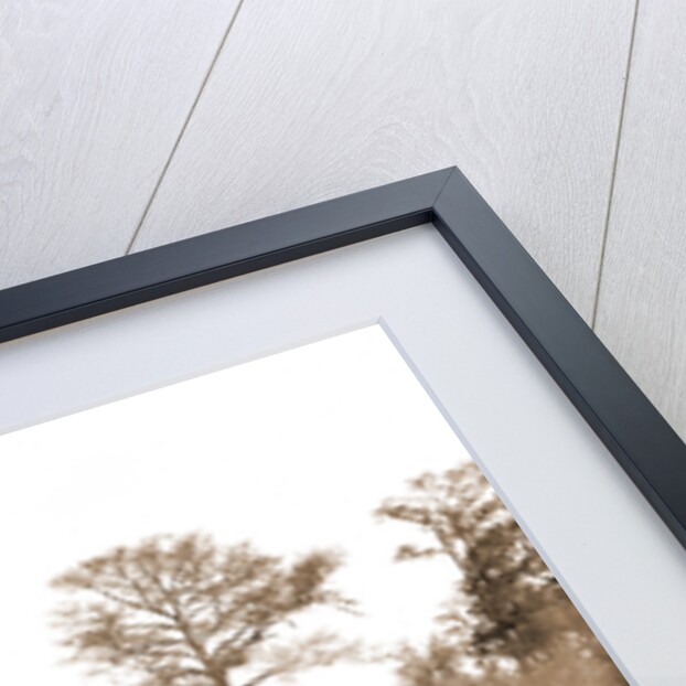 The Okeehumkee at wharf, Silver Springs by Anonymous