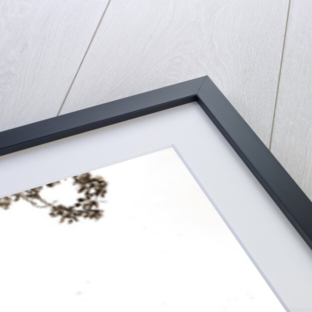 The Pavilion, Belle Isle Park by Anonymous