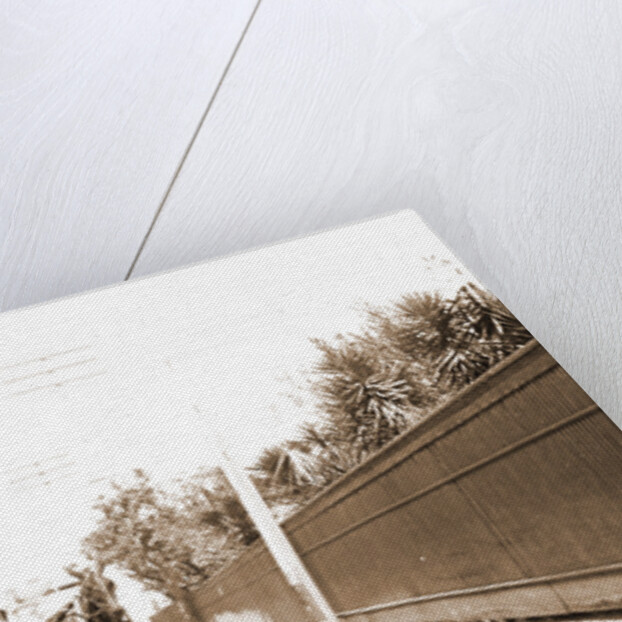 St. George Street, St. Augustine by Anonymous