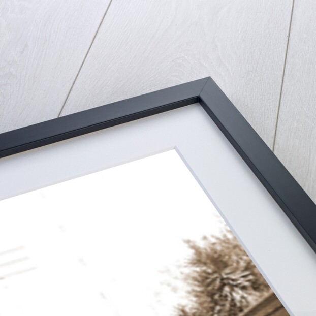 St. George Street, St. Augustine by Anonymous