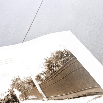 St. George Street, St. Augustine by Anonymous