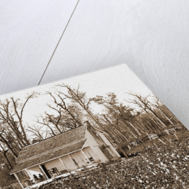 Home of the cotton picker, Jackson by Anonymous