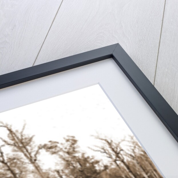 Home of the cotton picker, Jackson by Anonymous