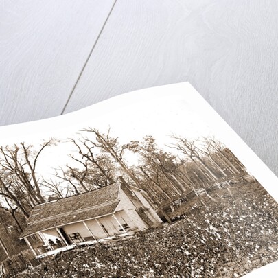 Home of the cotton picker, Jackson by Anonymous