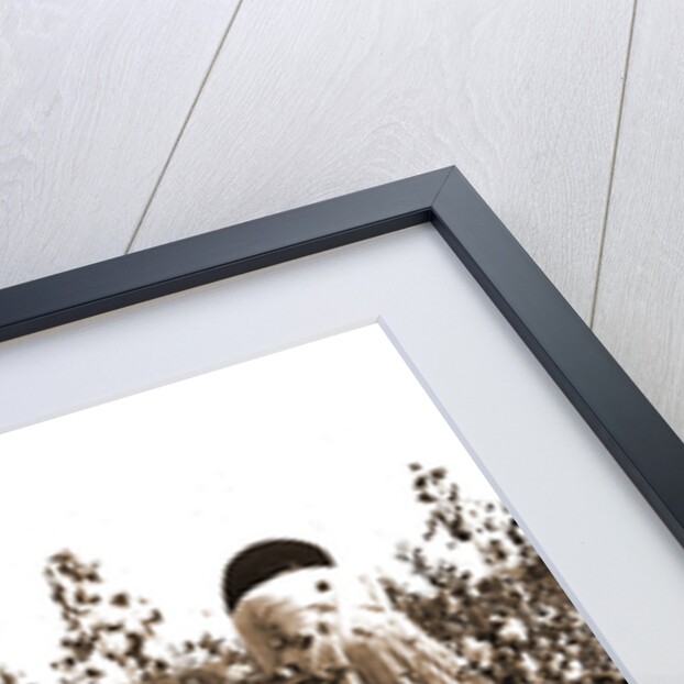 Picking cotton, Jackson by Anonymous