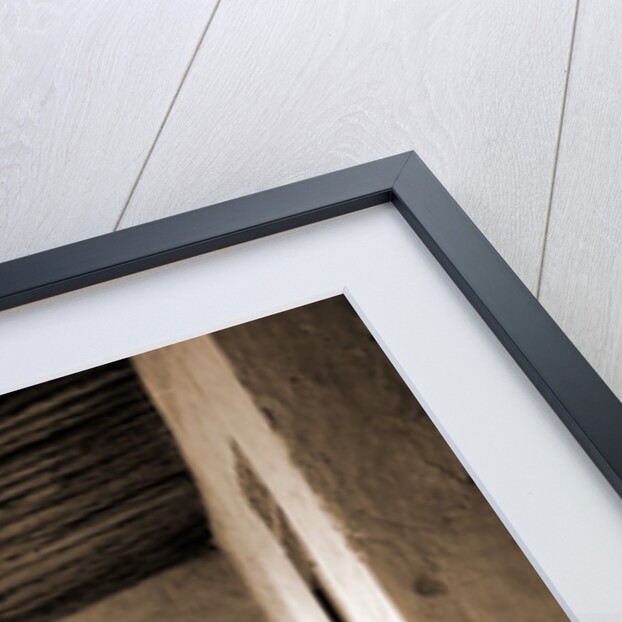 The corriders sic of San Francisco, Chihuahua by Anonymous