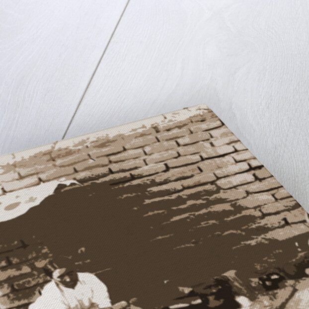 Preparing tortillas in Aguas Calientes, Mexico by Anonymous