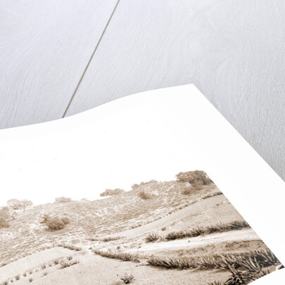 Cholula, the Pyramid Gran Piramide by Anonymous