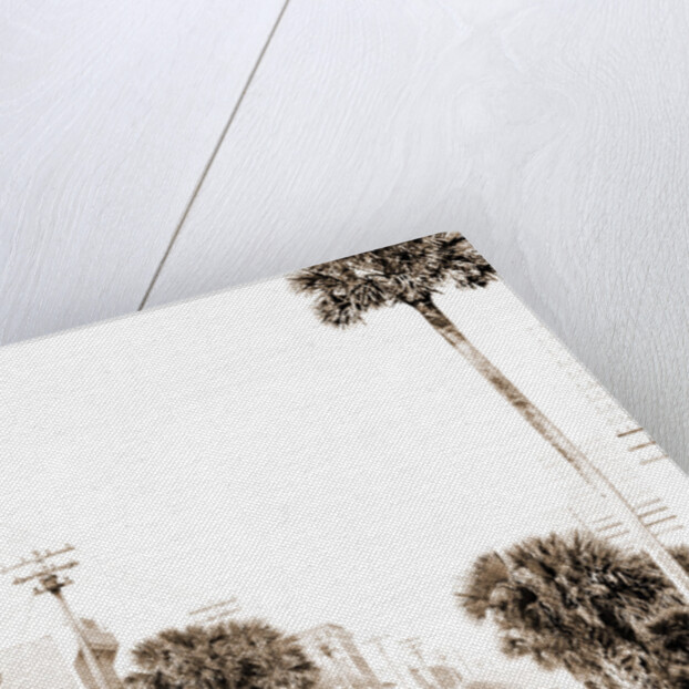 Beach Street, Daytona by Anonymous