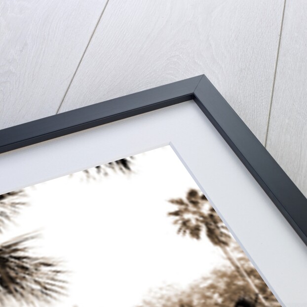 Post office, St. Augustine by Anonymous