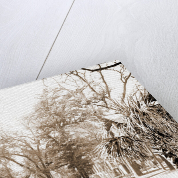 Liberty St, Savannah by Anonymous