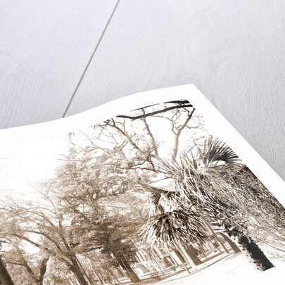 Liberty St, Savannah by Anonymous