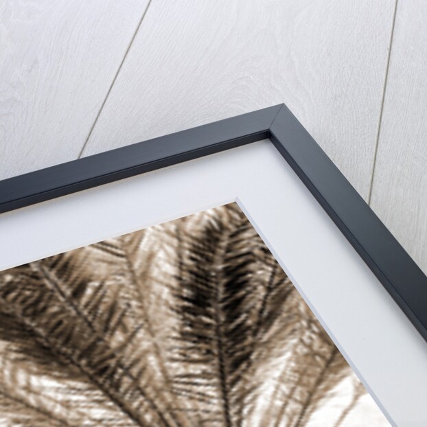 The Grounds of Tampa Bay Hotel, Tampa by Anonymous