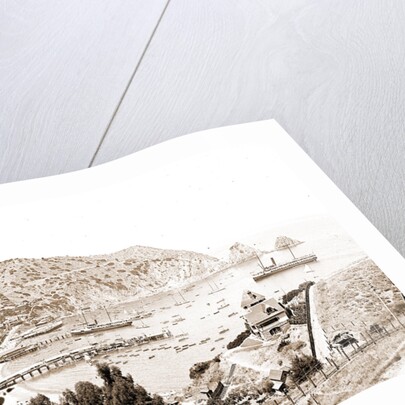 Harbor and Avalon Greek Theater, Avalon by Anonymous