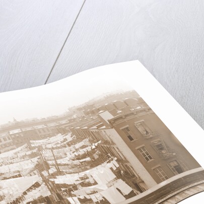 Yard of a tenement at Park Ave. Avenue and 107th St, New York by Anonymous