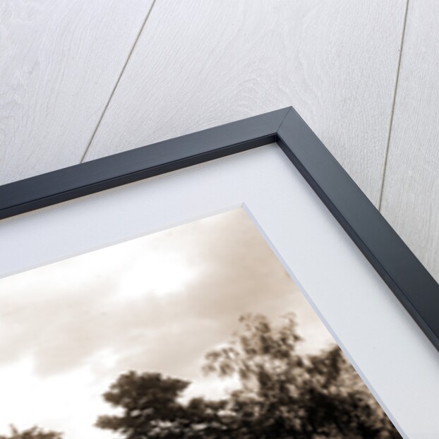 Garden and arbor, residence of Mrs. Franklin H. Walker by Anonymous