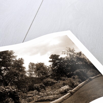 Garden and arbor, residence of Mrs. Franklin H. Walker by Anonymous