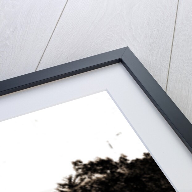 Golf course in the mountains, possibly a New York resort by Anonymous