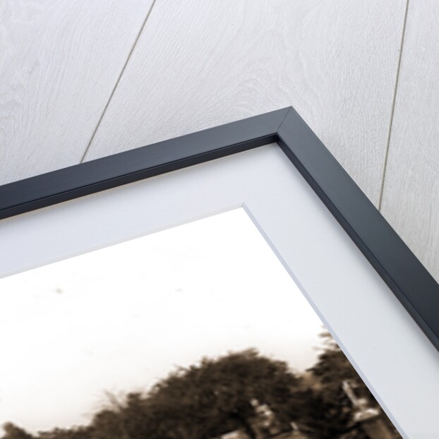 Cemetery, Cemeteries by Anonymous