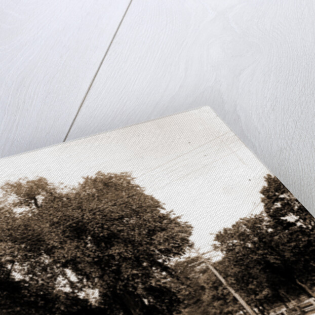 The Washington elm by Anonymous