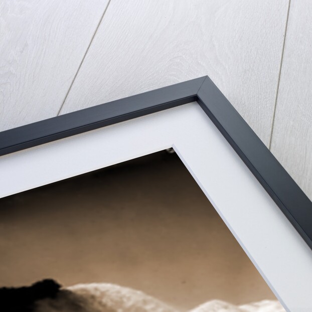 Rock of Ages by Anonymous