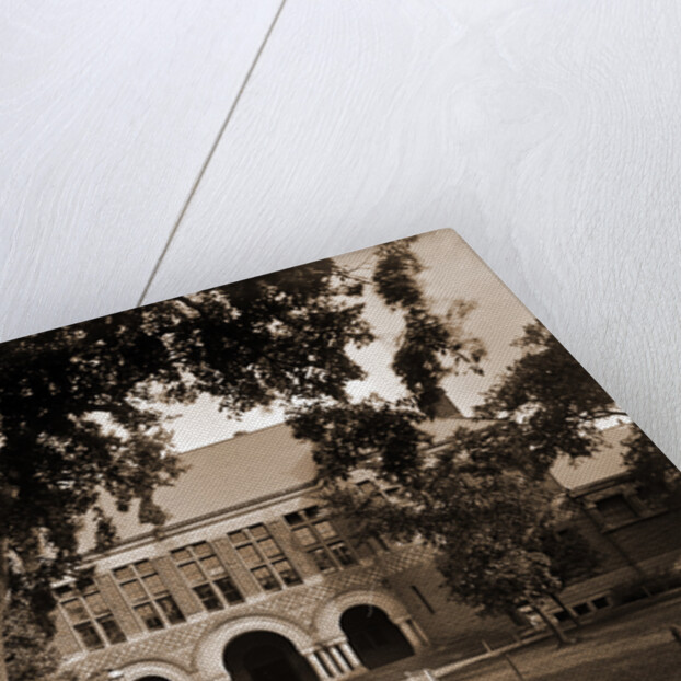 The Law School, Harvard College by Anonymous