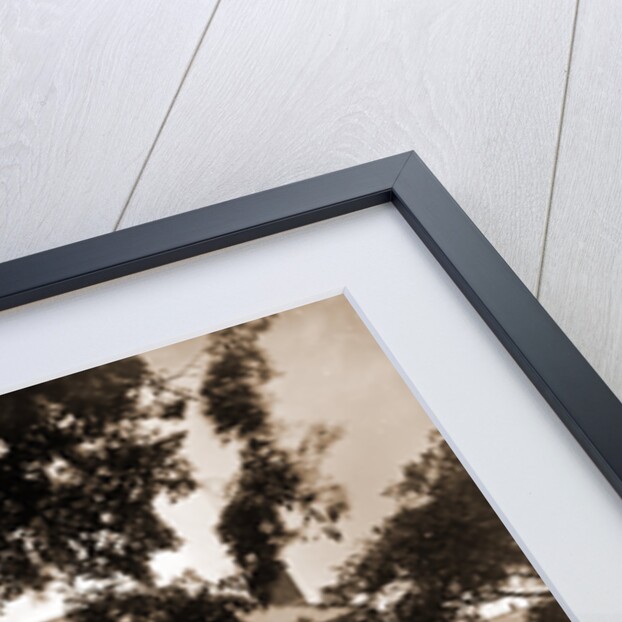 The Law School, Harvard College by Anonymous