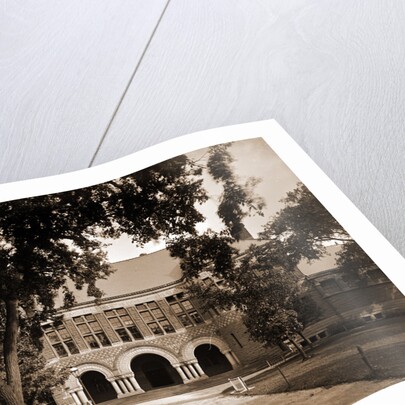 The Law School, Harvard College by Anonymous