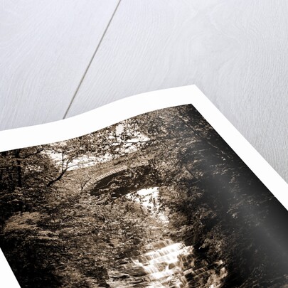 Cascadilla Gorge, Ithaca by Anonymous