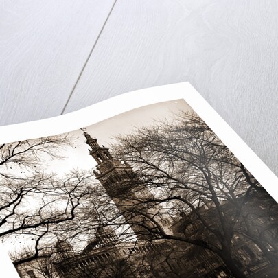 Madison Square, New York by Anonymous