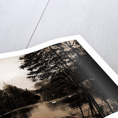 A Lake view in Central Park, New York by Anonymous