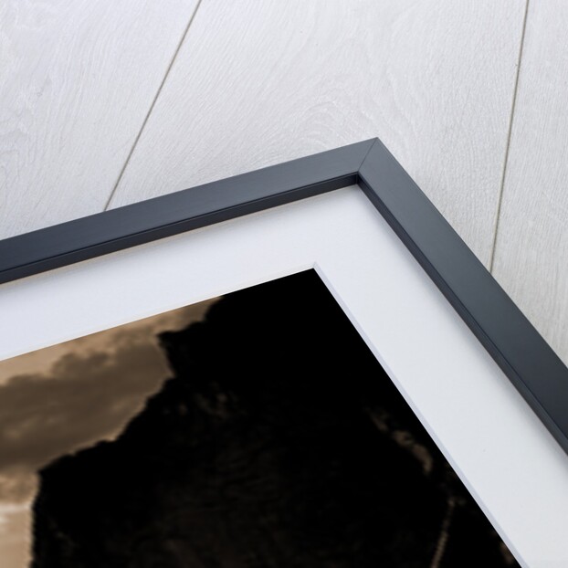 Sunset in the Royal Gorge, Col by Anonymous