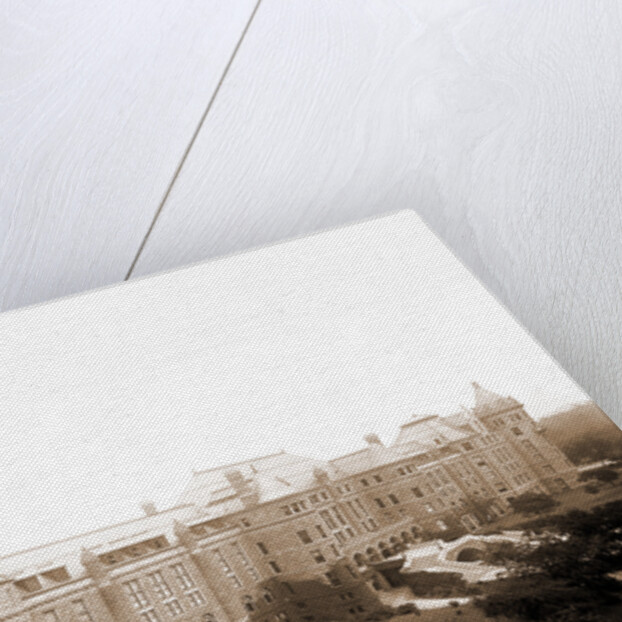 American Museum of Natural History, New York by Anonymous