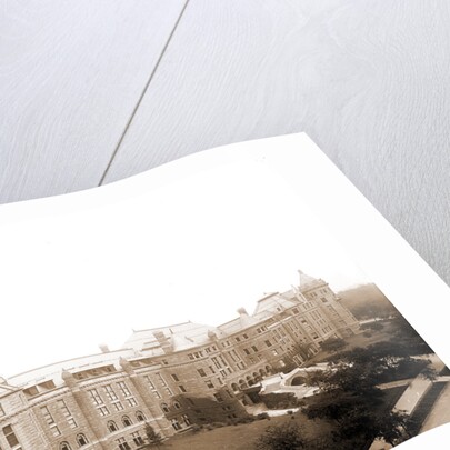 American Museum of Natural History, New York by Anonymous