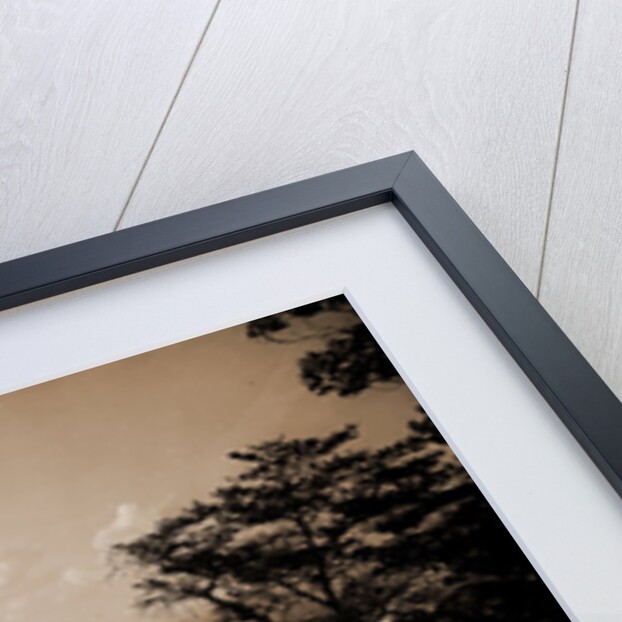 Point Hotel and the battlefield, Lookout Mountain by Anonymous